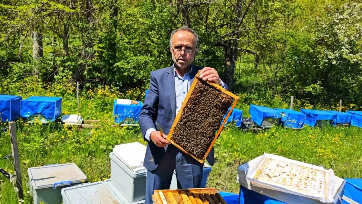 Artvin’de Arıcılık Don Dalgasından Etkilendi