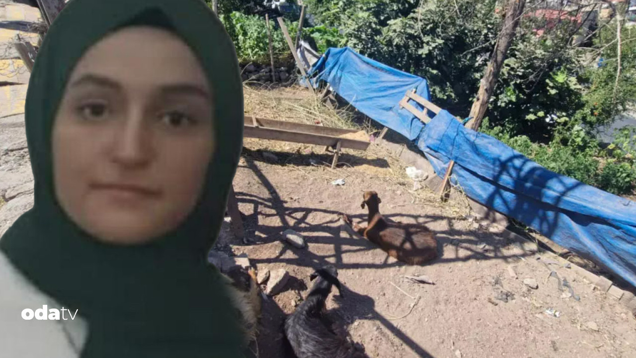 kahreden olay keciye dokundu hayatini kaybetti 7LQIPggR