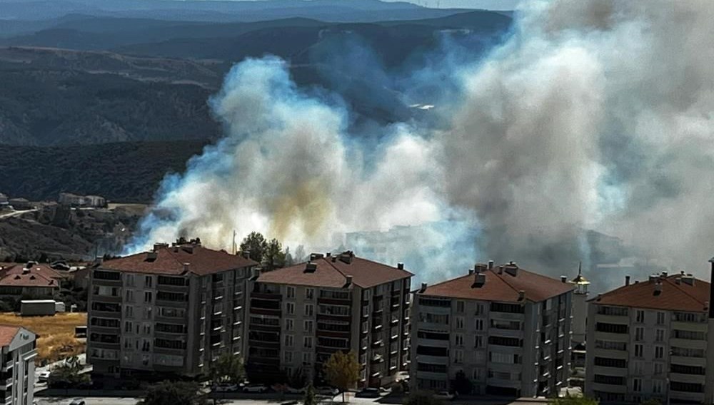 salca icin bileciki yakti KrprgeSG