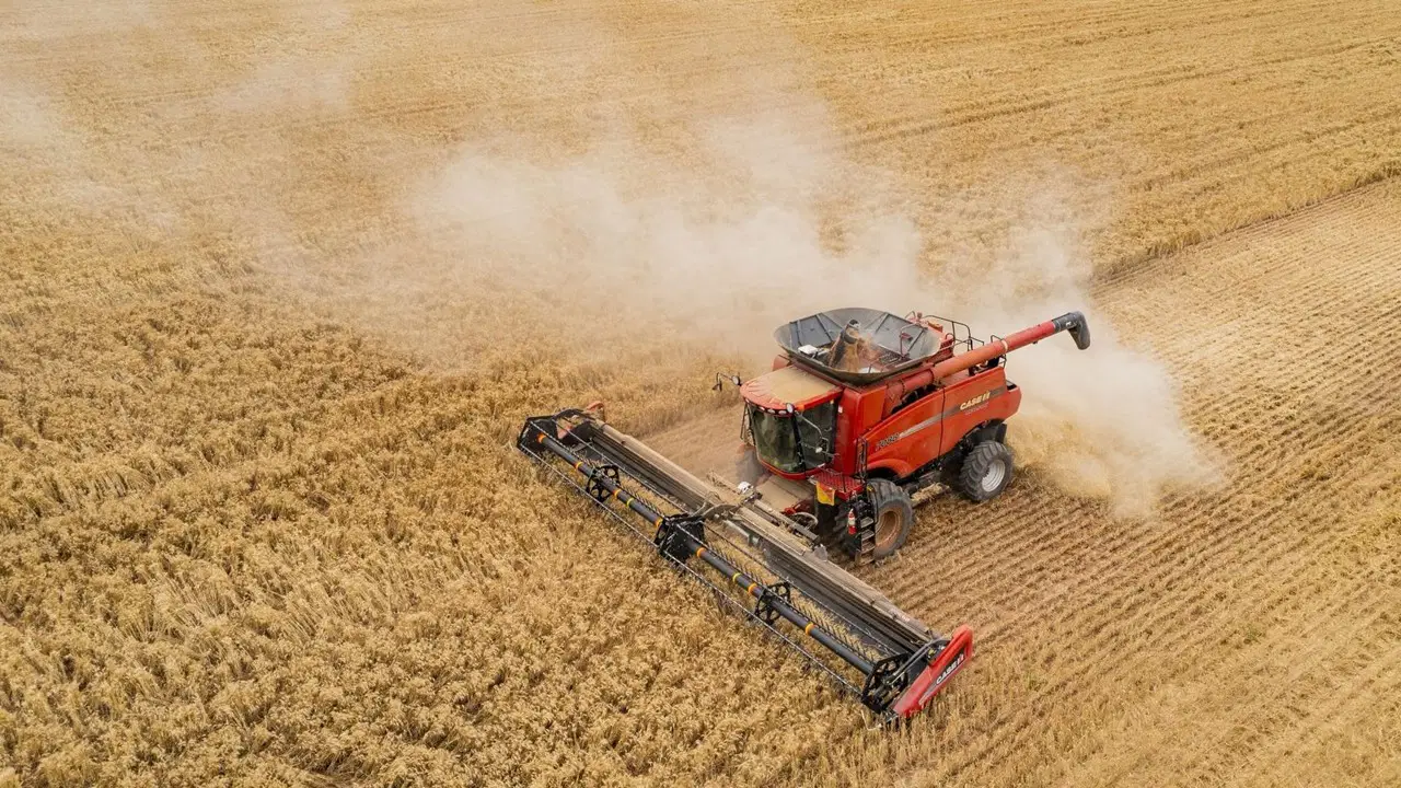 tuik acikladi ciftcinin enflasyonu belli oldu mGVm1PtZ