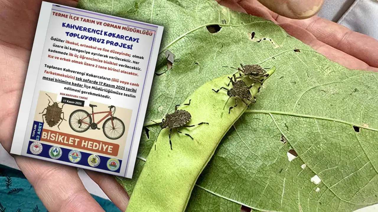 kokarca toplama projesine chpden tepki bilimle mucadele edecegimize cocuklari kullaniyoruz zhTuR1lv.jpg