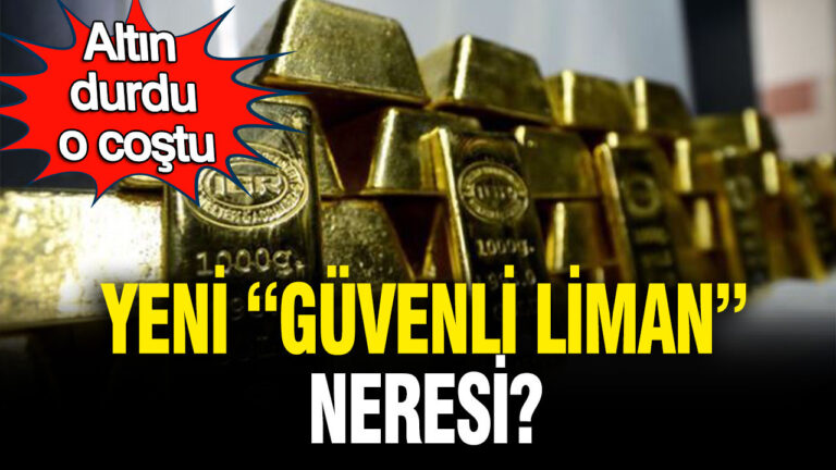 altin-durdu-o-costu-yeni-guvenli-liman-ne-F5Fn7bqi